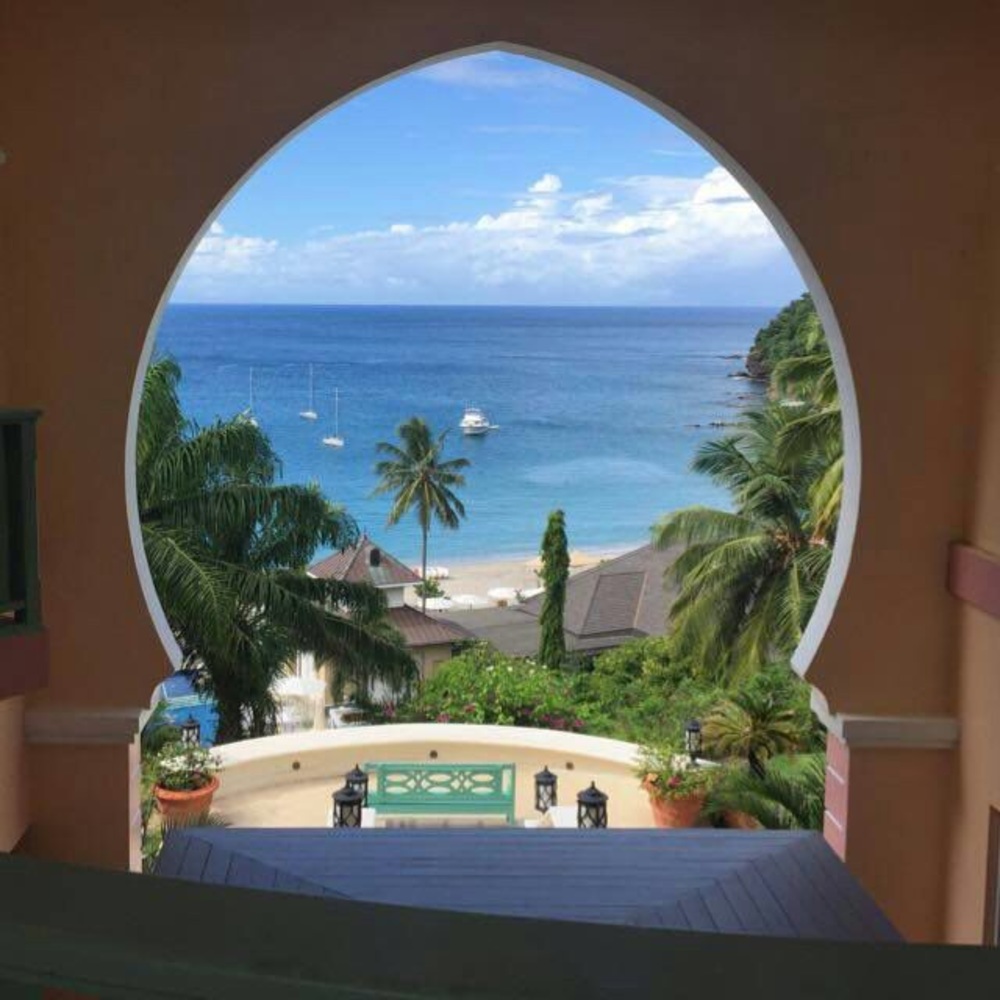 Meet your Posher, Luvisca